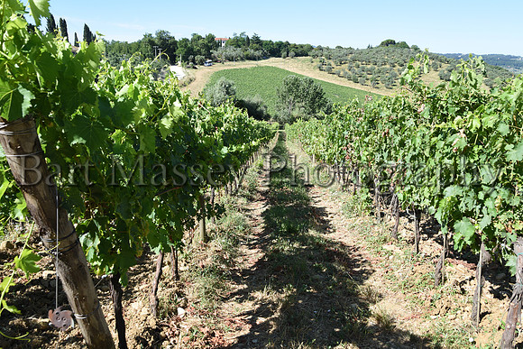 Chianti (41 of 387)