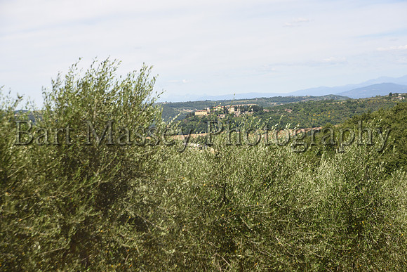 Chianti (133 of 387)