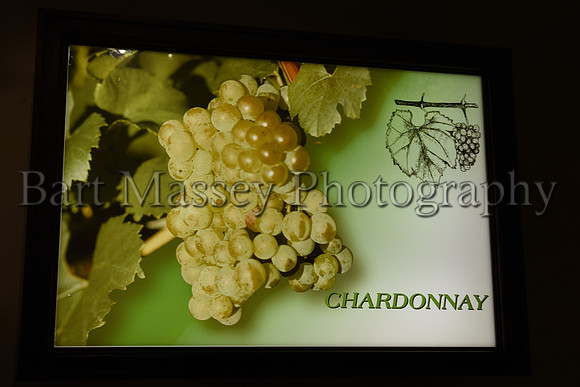 Champagne (289 of 412)