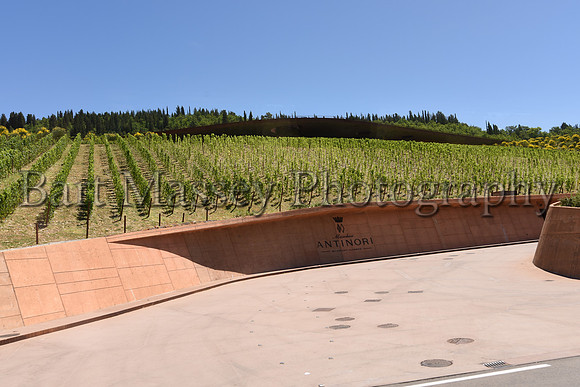 Chianti (115 of 387)
