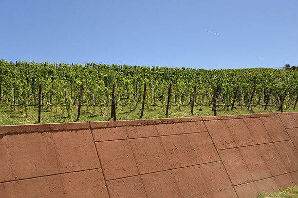Chianti (112 of 387)