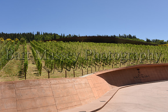 Chianti (114 of 387)
