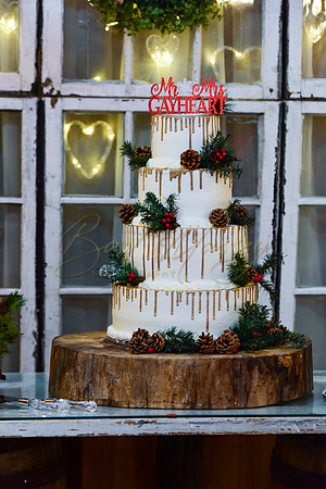 Mike and Michelle (278 of 1220)