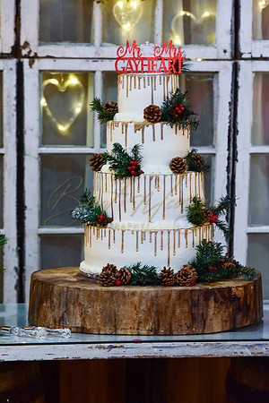 Mike and Michelle (279 of 1220)