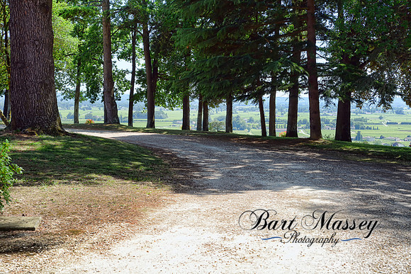 Bordeaux Day 2 (164 of 323)