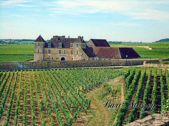 Day 2 Dijon Beaune and Cote Du Nuit or Hill of nigh (49 of 123)
