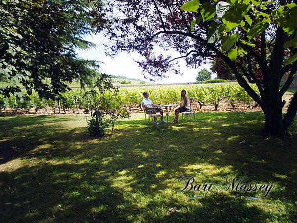 Day 2 Dijon Beaune and Cote Du Nuit or Hill of nigh (78 of 123)