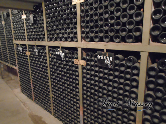 Day 2 Dijon Beaune and Cote Du Nuit or Hill of nigh (89 of 123)