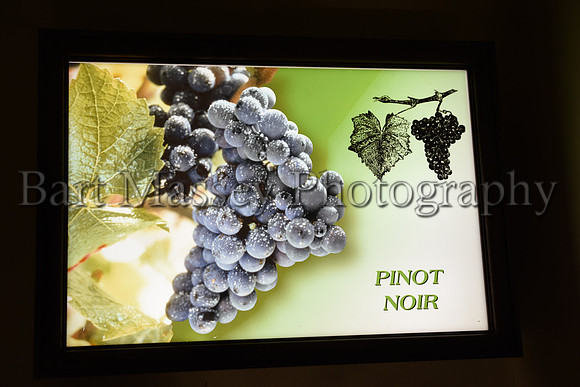 Champagne (290 of 412)
