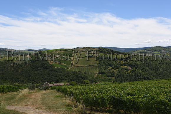 Chianti (211 of 387)