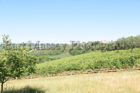 Chianti (28 of 387)