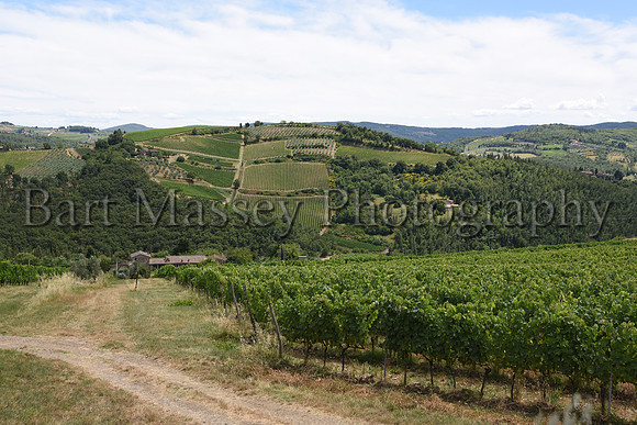 Chianti (212 of 387)