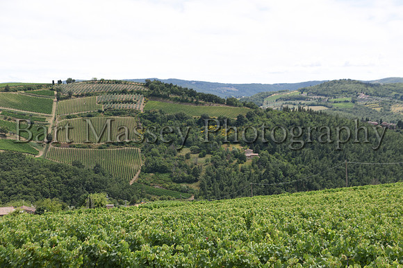 Chianti (216 of 387)