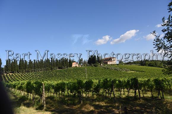 Chianti (23 of 387)