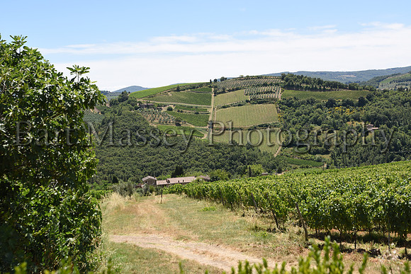 Chianti (147 of 387)