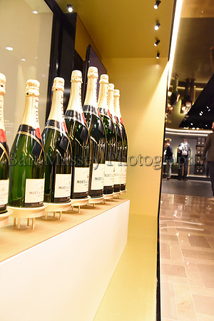 Champagne (202 of 412)