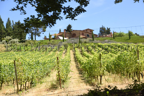 Chianti (136 of 387)