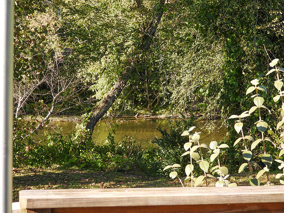 Air B&B Woodland Park 10 15 23  (114 of 130)