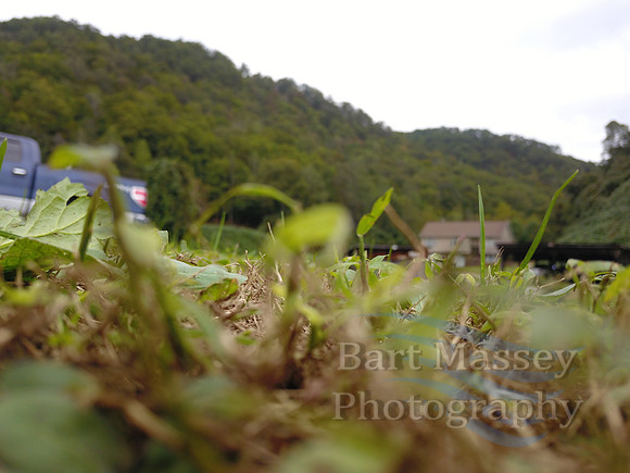 DJI_0038