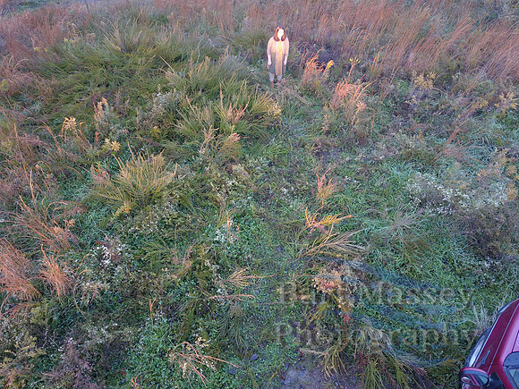 Abby Senior Pictures-0061