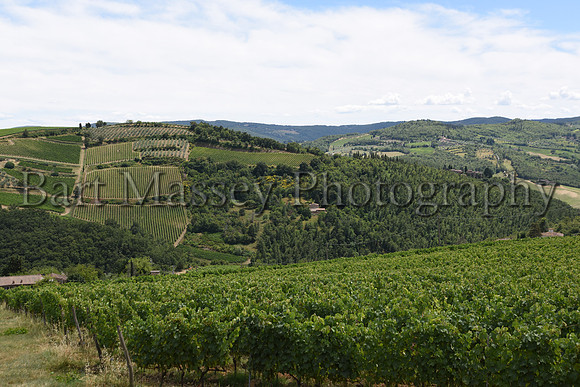 Chianti (210 of 387)