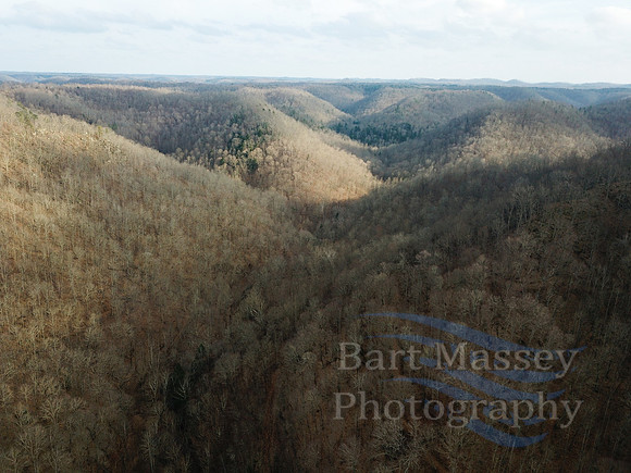 Wayne Davis Property ADS-0043