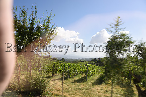 Chianti (21 of 387)