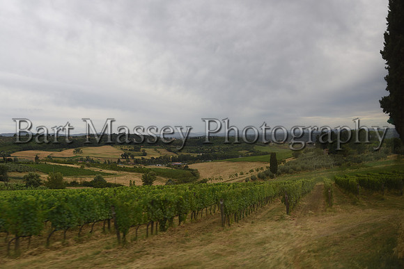 Chianti (379 of 387)