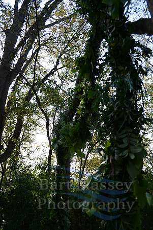 Cam Cory Wedding-23