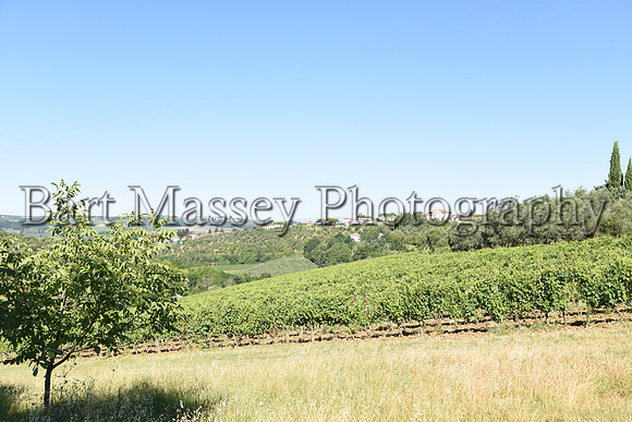 Chianti (27 of 387)
