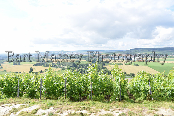 Champagne (86 of 412)