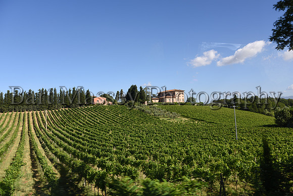 Chianti (24 of 387)