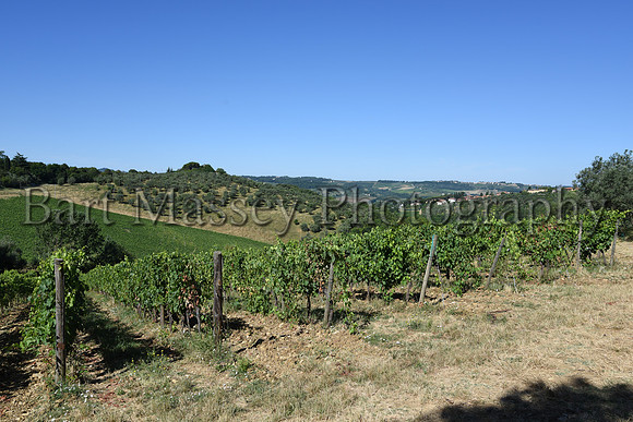 Chianti (31 of 387)