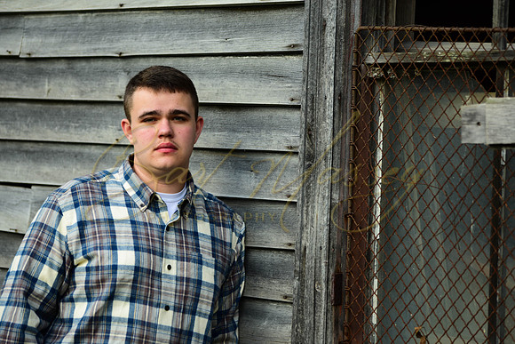 Johnson Senior Pictures-4993