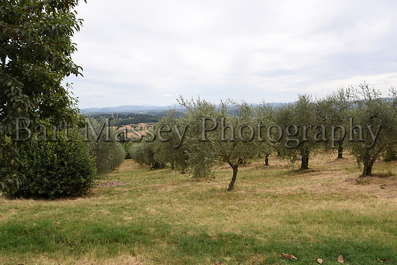 Chianti (298 of 387)