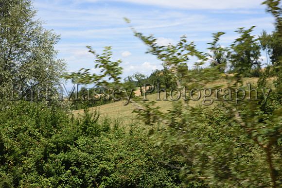Chianti (126 of 387)