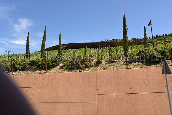 Chianti (119 of 387)