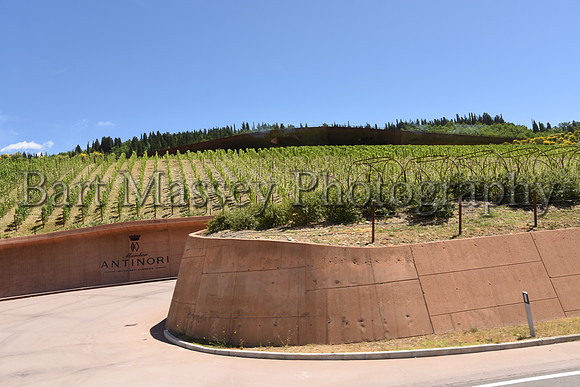 Chianti (117 of 387)