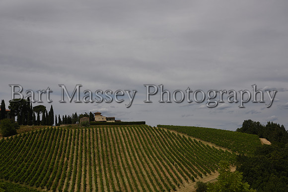 Chianti (243 of 387)
