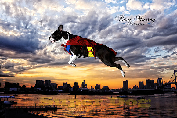 Superdog 2
