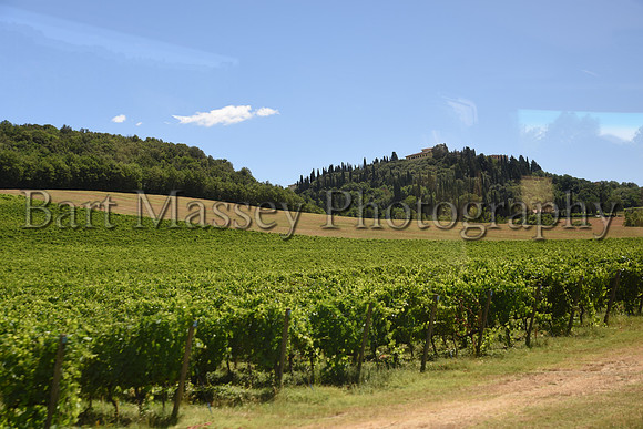 Chianti (122 of 387)