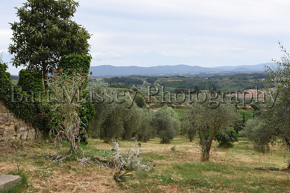 Chianti (302 of 387)