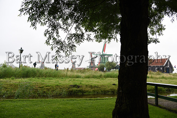 BMP_4047