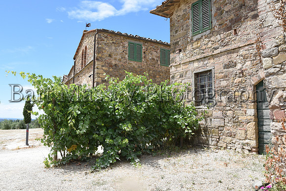 Chianti (226 of 387)