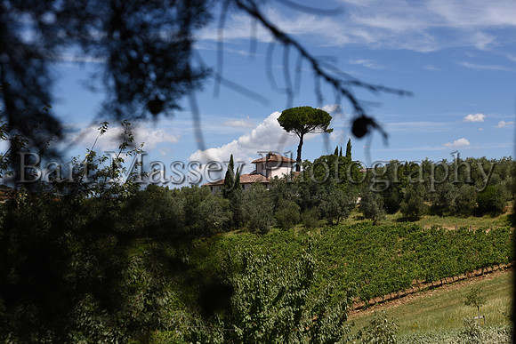 Chianti (105 of 387)
