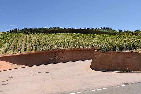 Chianti (116 of 387)