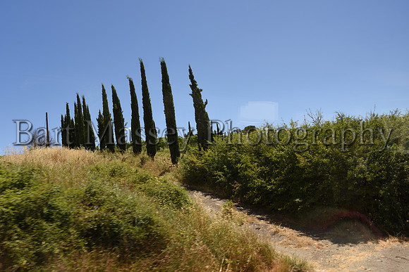 Chianti (124 of 387)