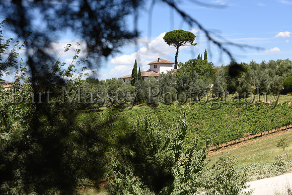 Chianti (107 of 387)