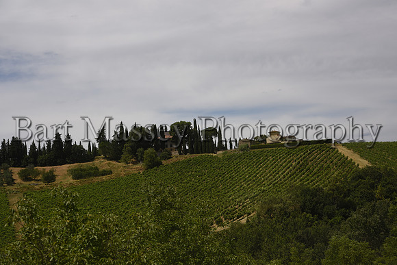 Chianti (246 of 387)