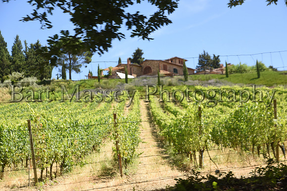 Chianti (136 of 387)